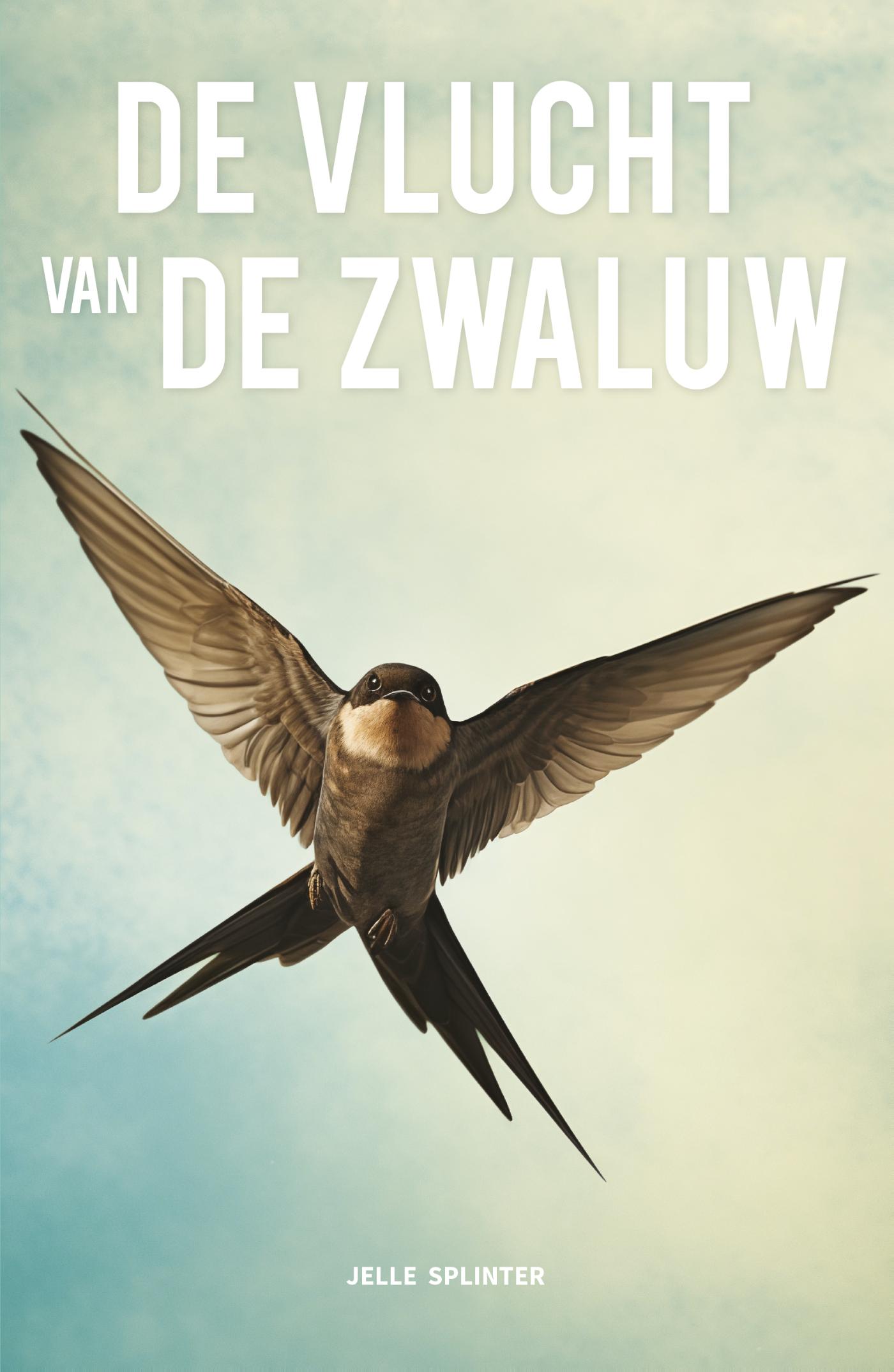 Omslag van De vlucht van de zwaluw
