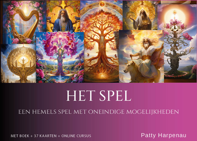 Omslag van Het Spel