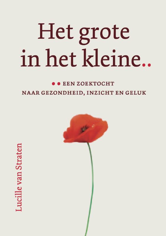 Omslag van Het grote in het kleine