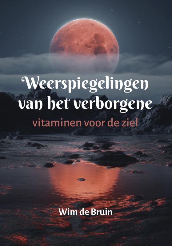 Omslag van Weerspiegelingen van het verborgene