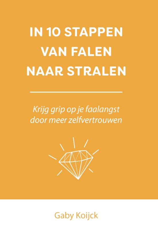 Omslag van In 10 stappen van falen naar stralen