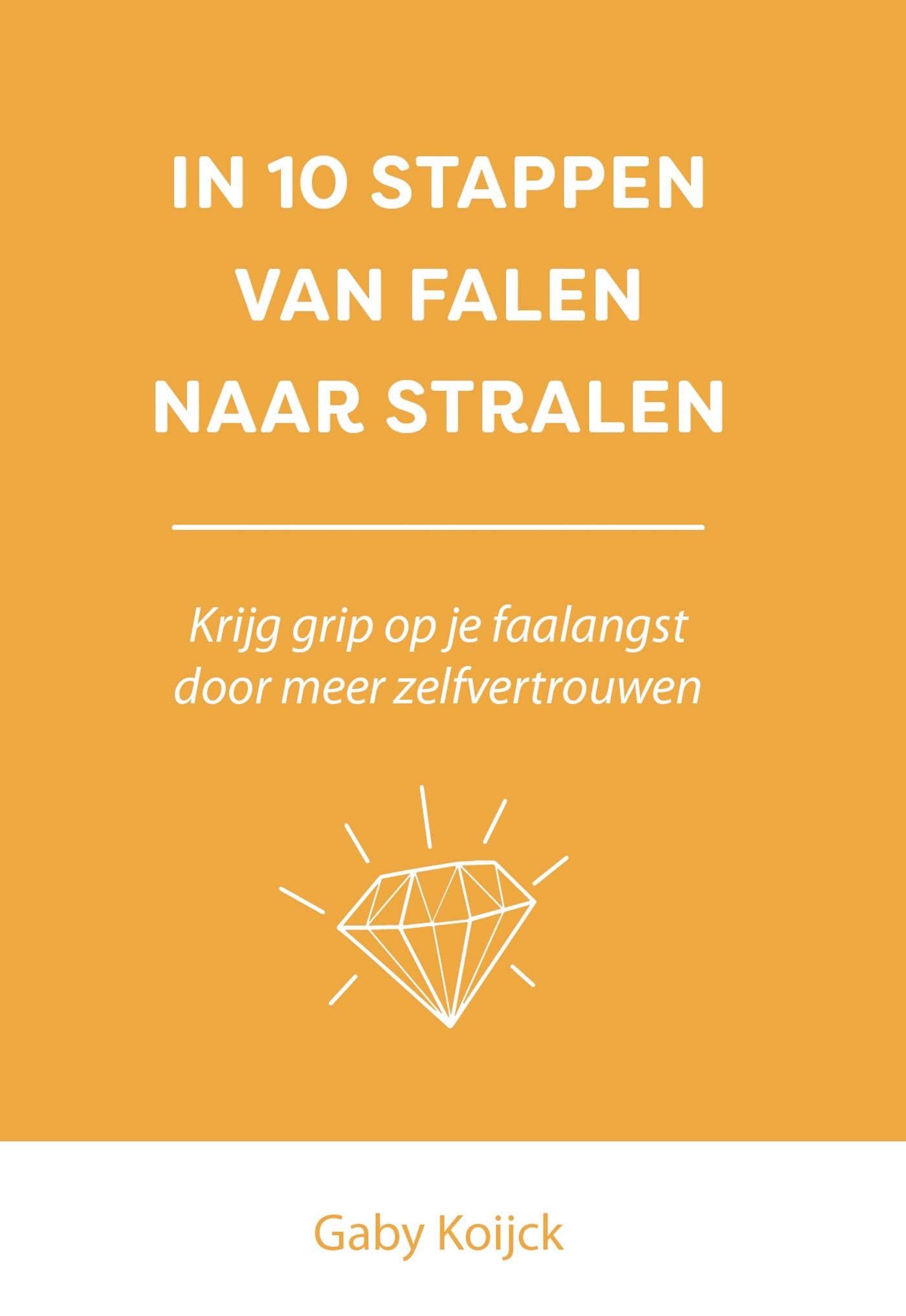 Omslag van In 10 stappen van falen naar stralen