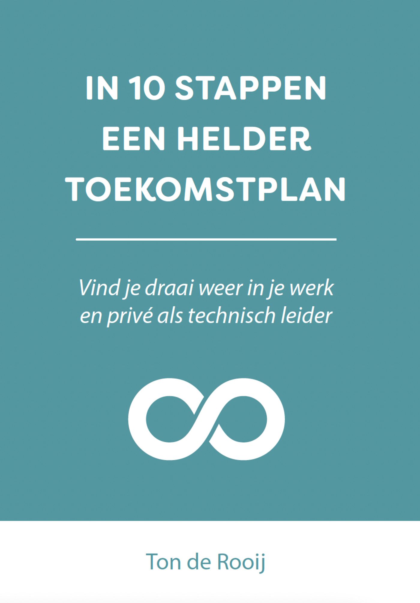 Omslag van In 10 stappen een helder toekomstplan
