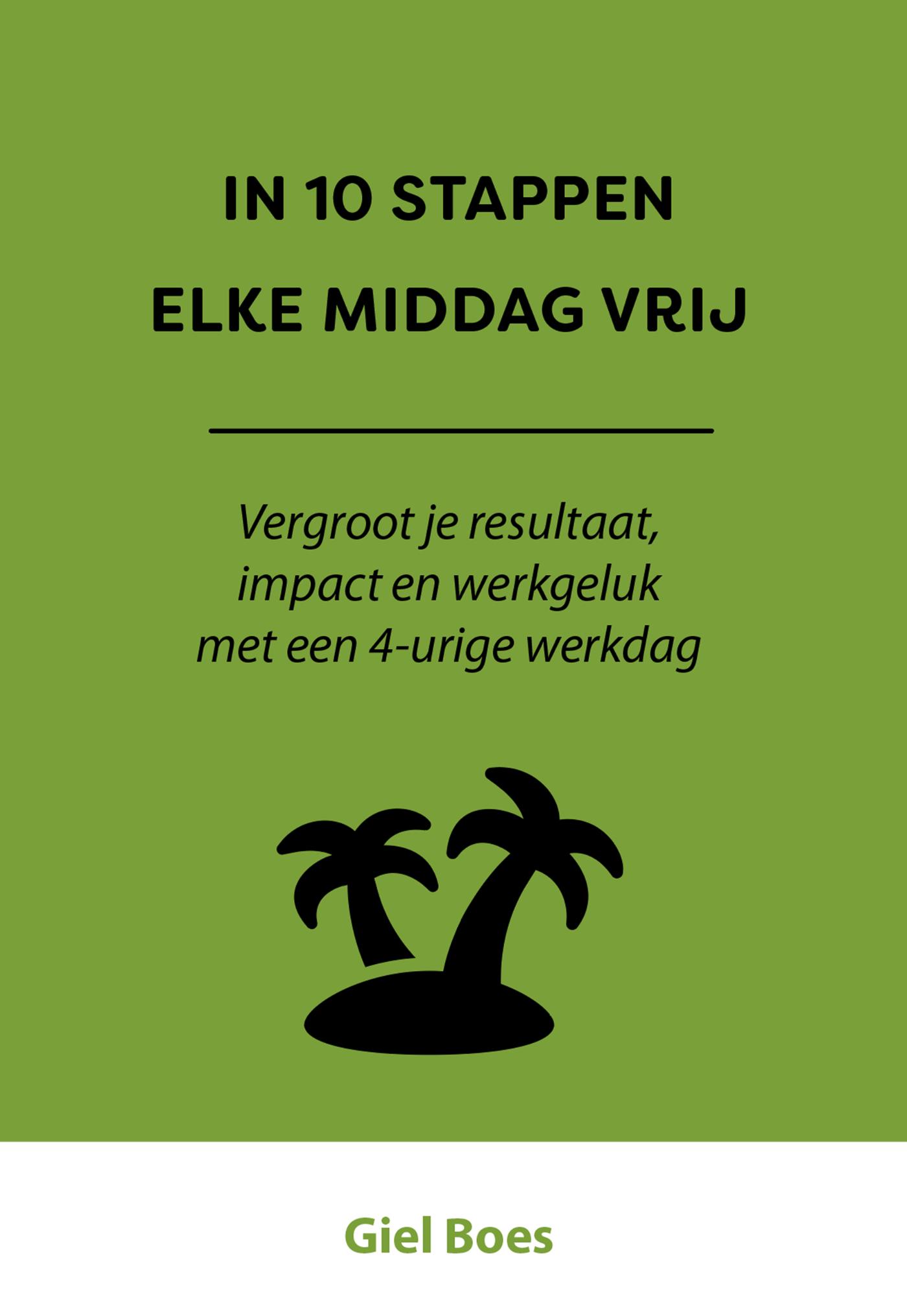 Omslag van In 10 stappen elke middag vrij
