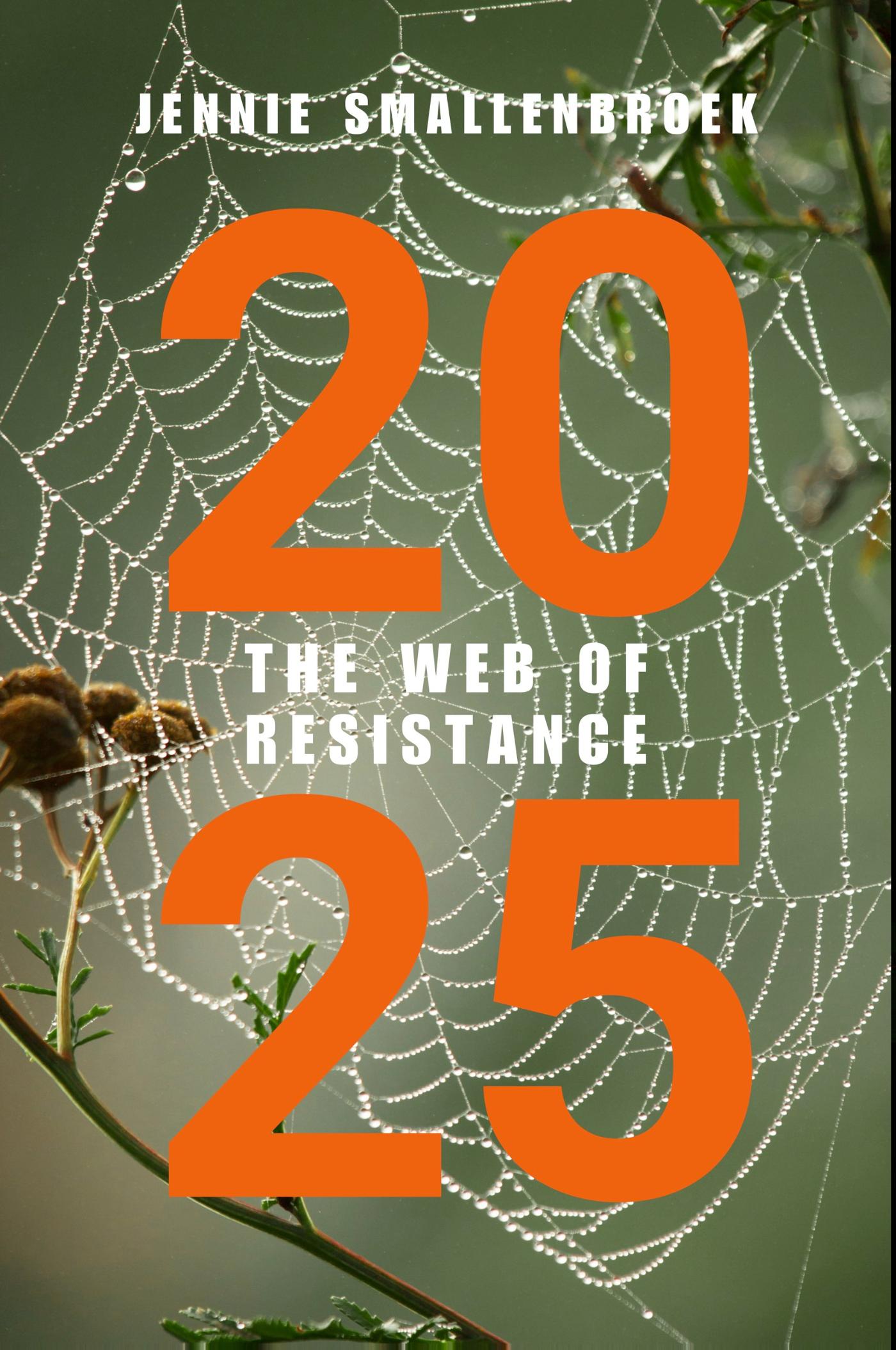 Omslag van 2025 The Web of Resistance