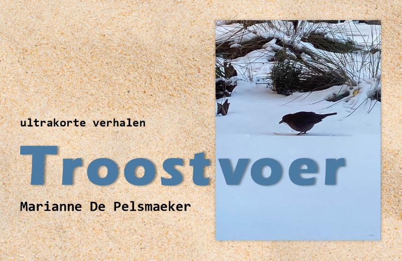 Omslag van Troostvoer
