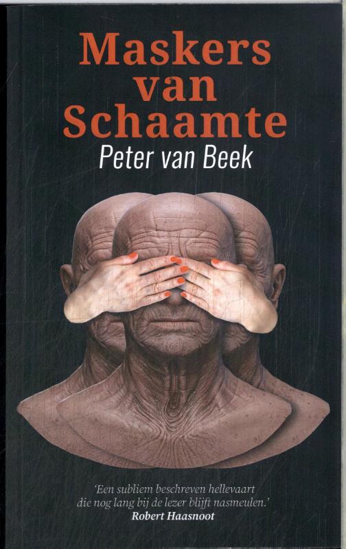 Omslag van Maskers van schaamte