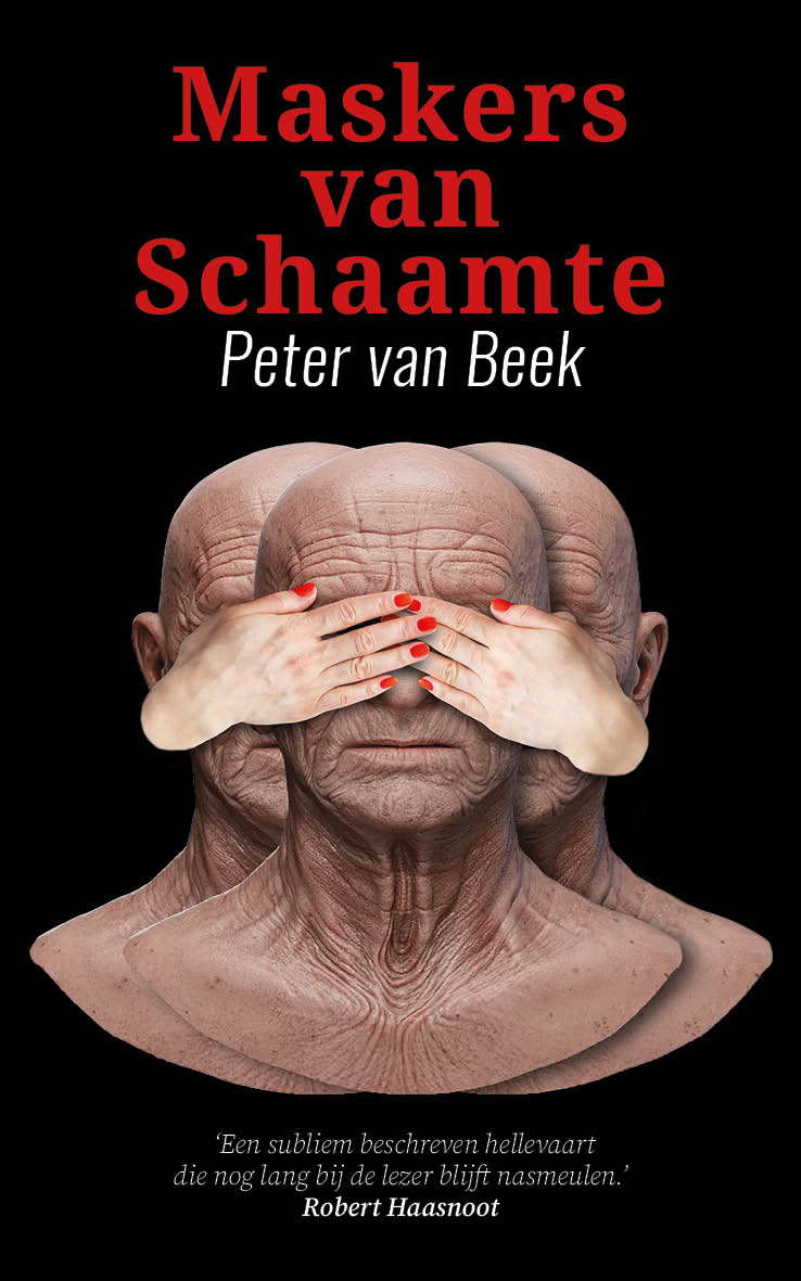 Omslag van Maskers van Schaamte