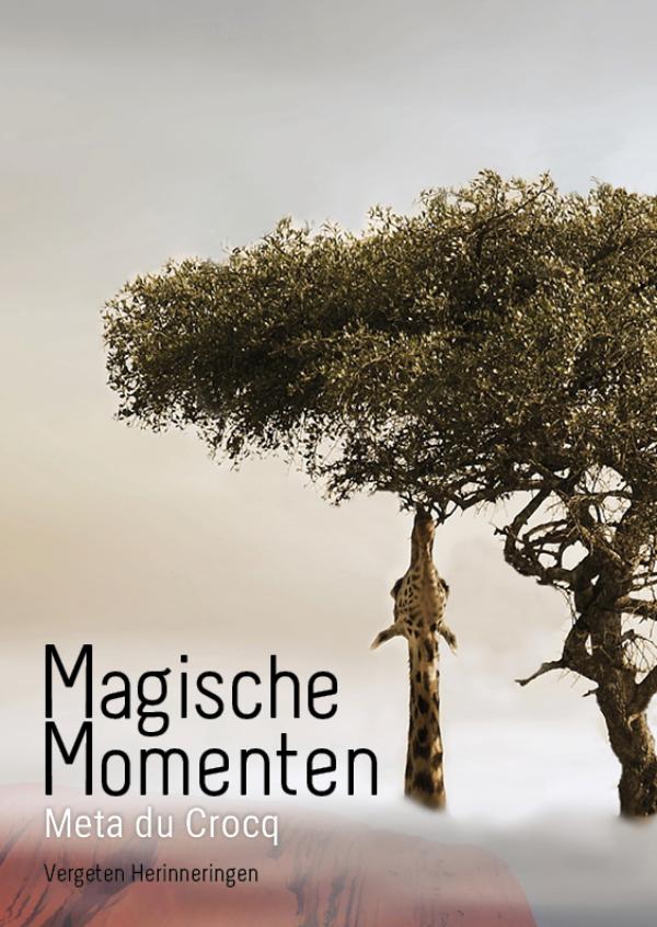 Omslag van Magische momenten