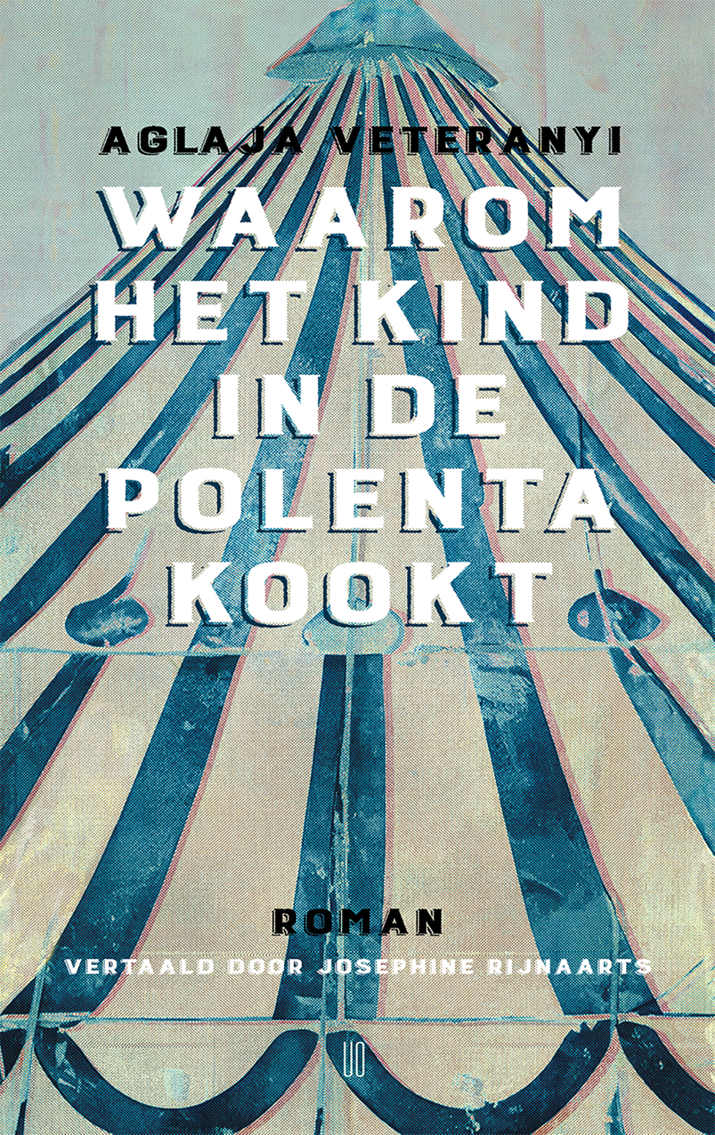 Omslag van Waarom het kind in de polenta kookt