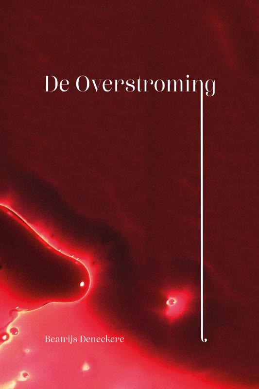 Omslag van De overstroming
