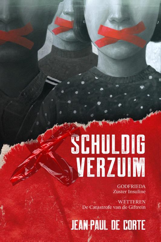 Omslag van Schuldig verzuim