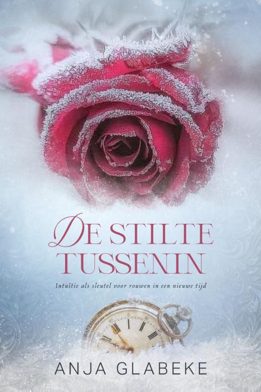 Omslag van De stilte tussenin