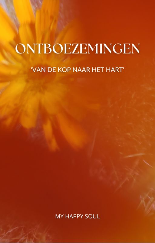 Omslag van Ontboezemingen
