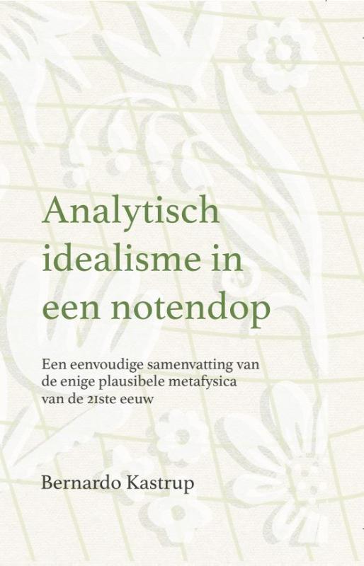 Omslag van Analytisch idealisme in een notendop
