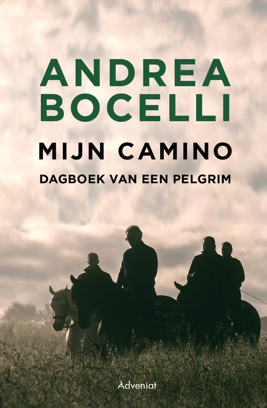 Omslag van Mijn Camino