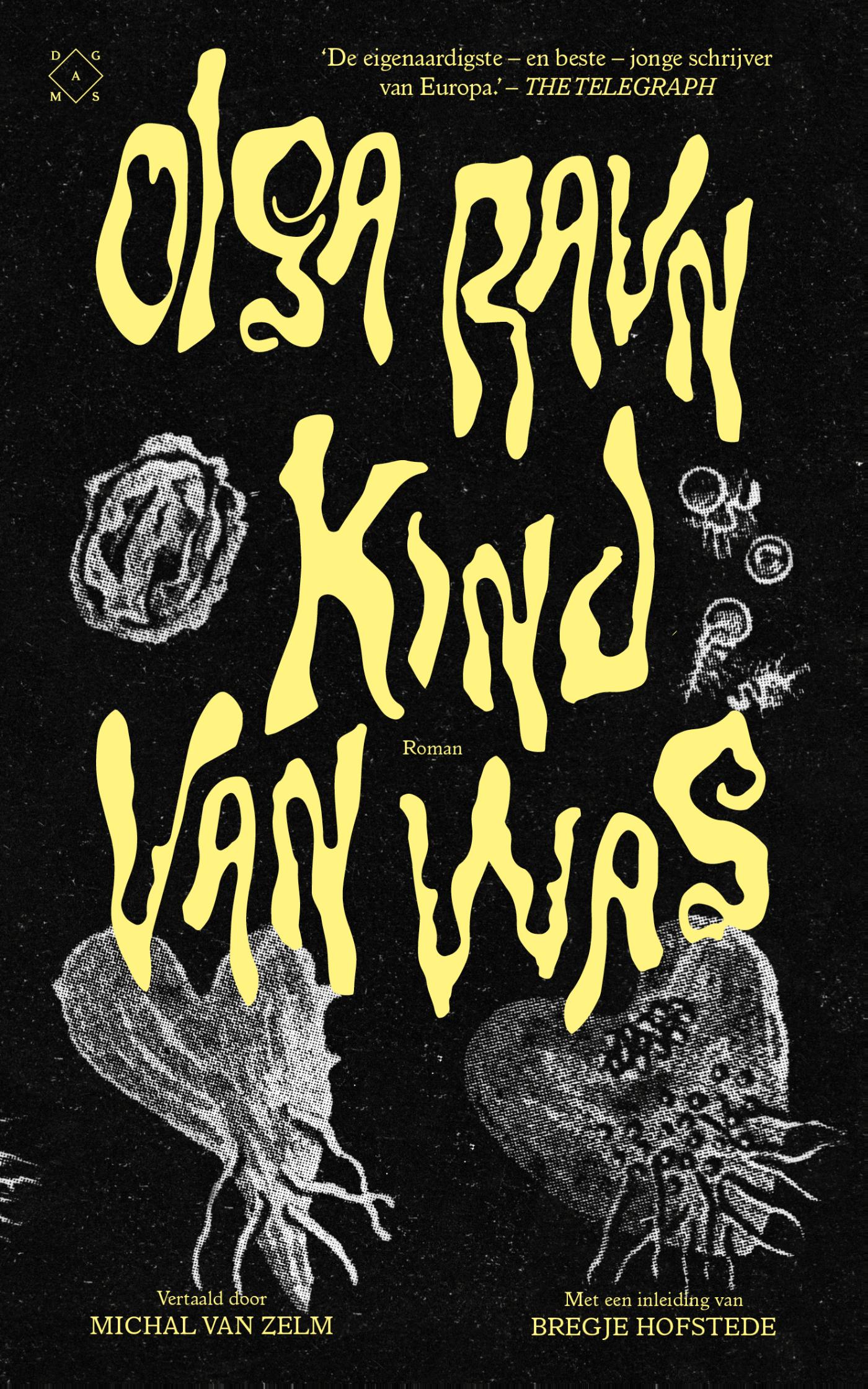 Omslag van Kind van was