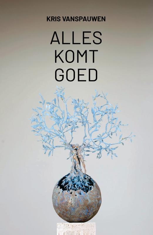 Omslag van Alles komt goed