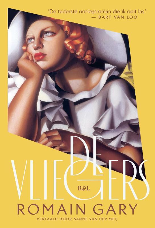Omslag van De vliegers
