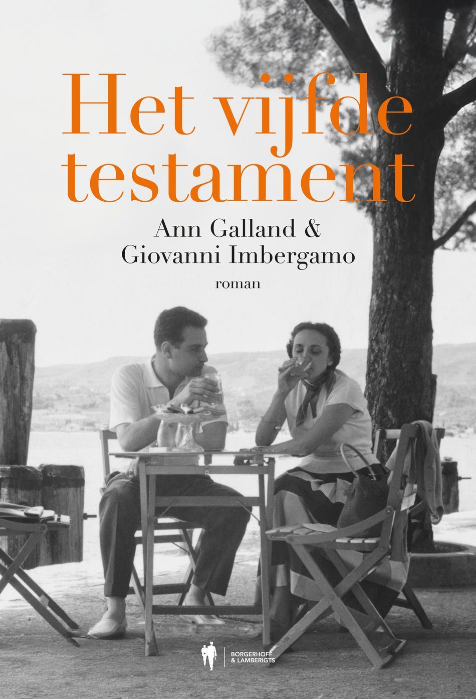 Omslag van Het vijfde testament