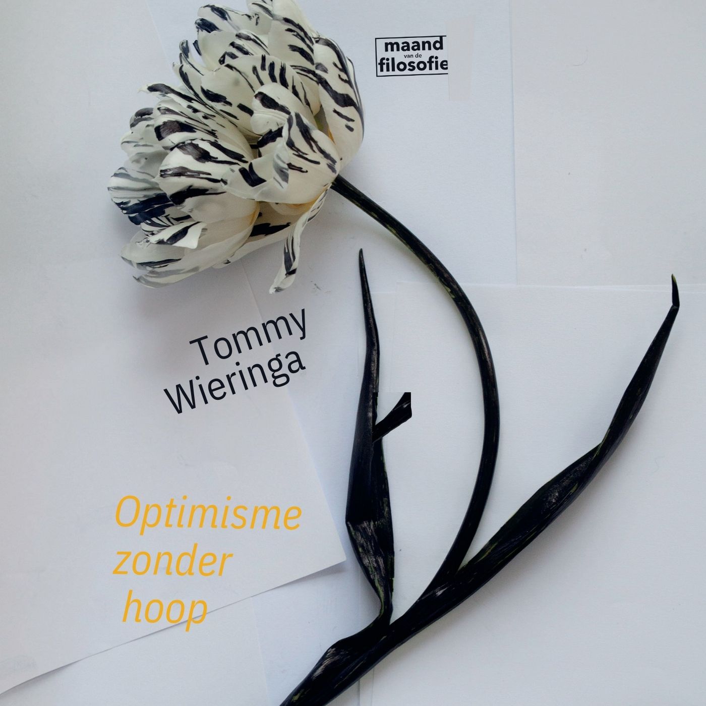 Omslag van Optimisme zonder hoop