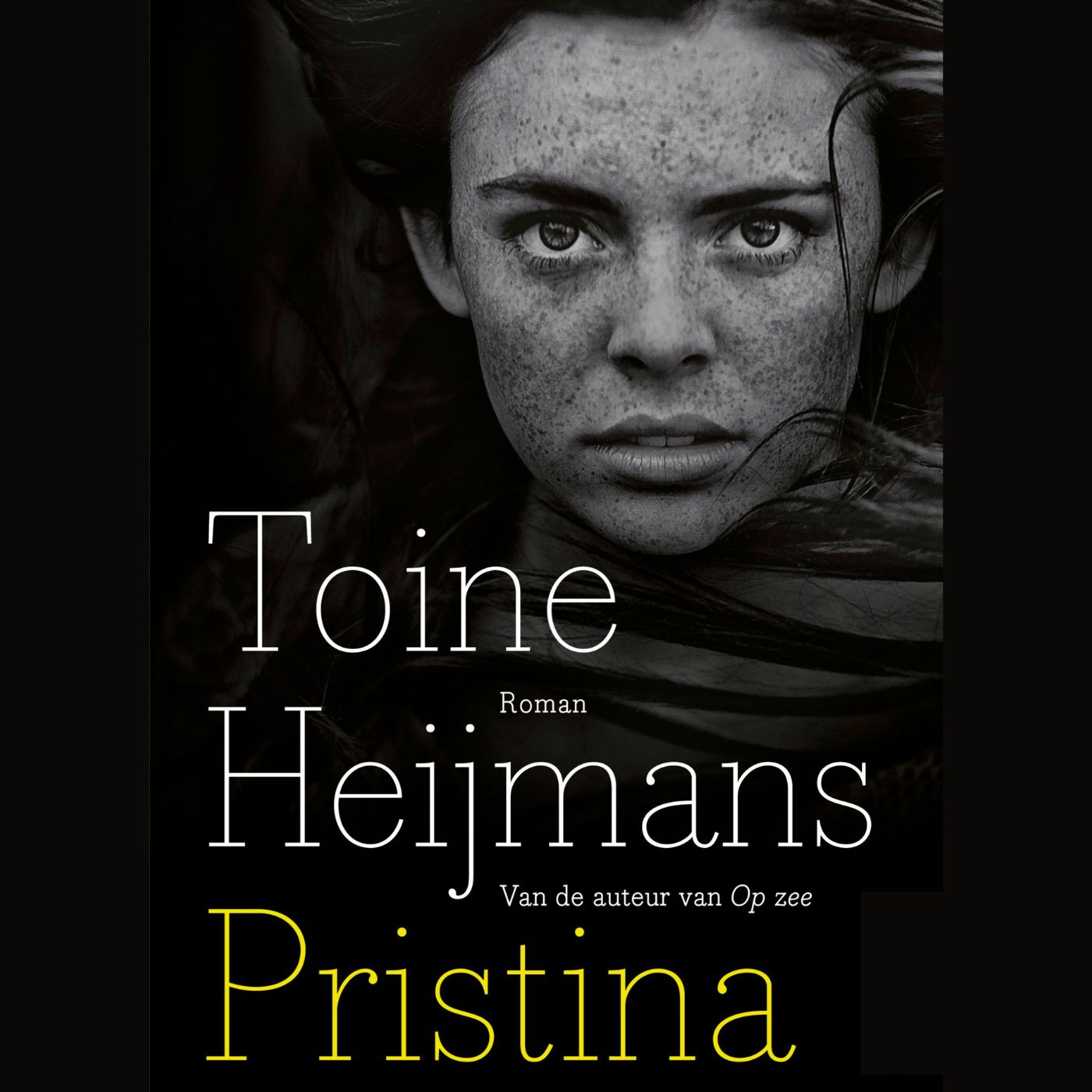 Omslag van Pristina