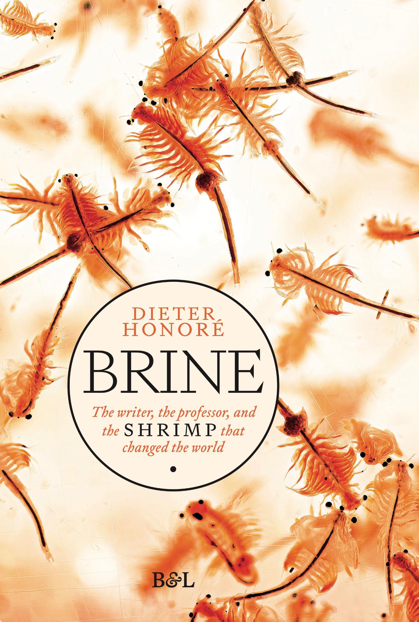 Omslag van Brine
