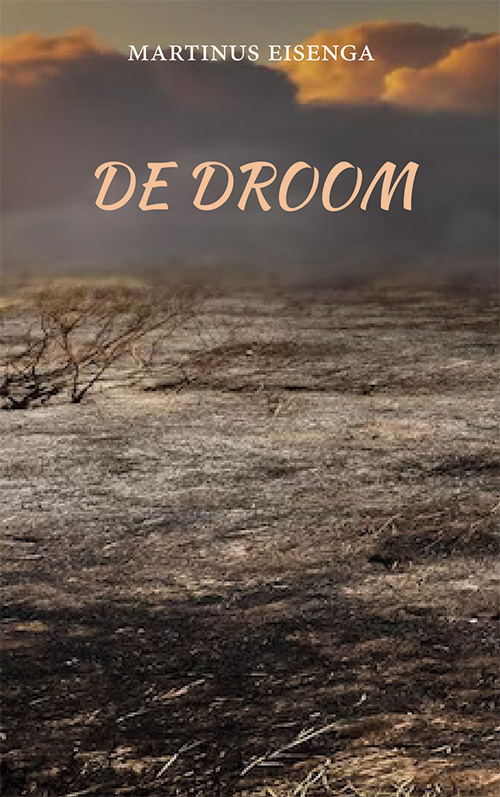 Omslag van De droom
