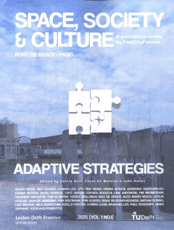 Omslag van Adaptive Strategies