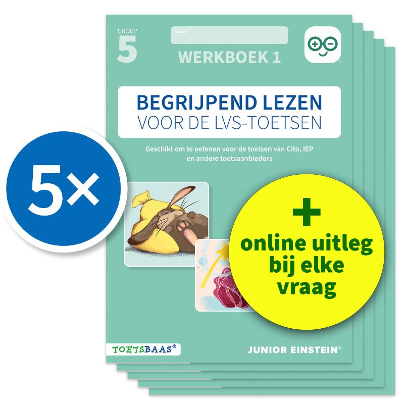 Omslag van Begrijpend lezen voor de LVS-toetsen - Groep 5 - Werkboek 1 + Online video-uitleg (set van 5)