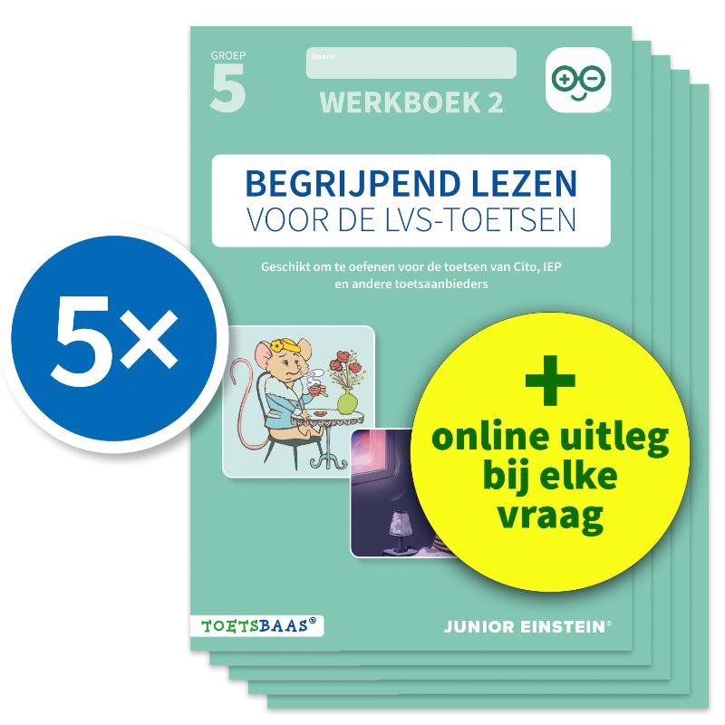 Omslag van Begrijpend lezen voor de LVS-toetsen - Groep 5 - Werkboek 2 + Online video-uitleg (set van 5)