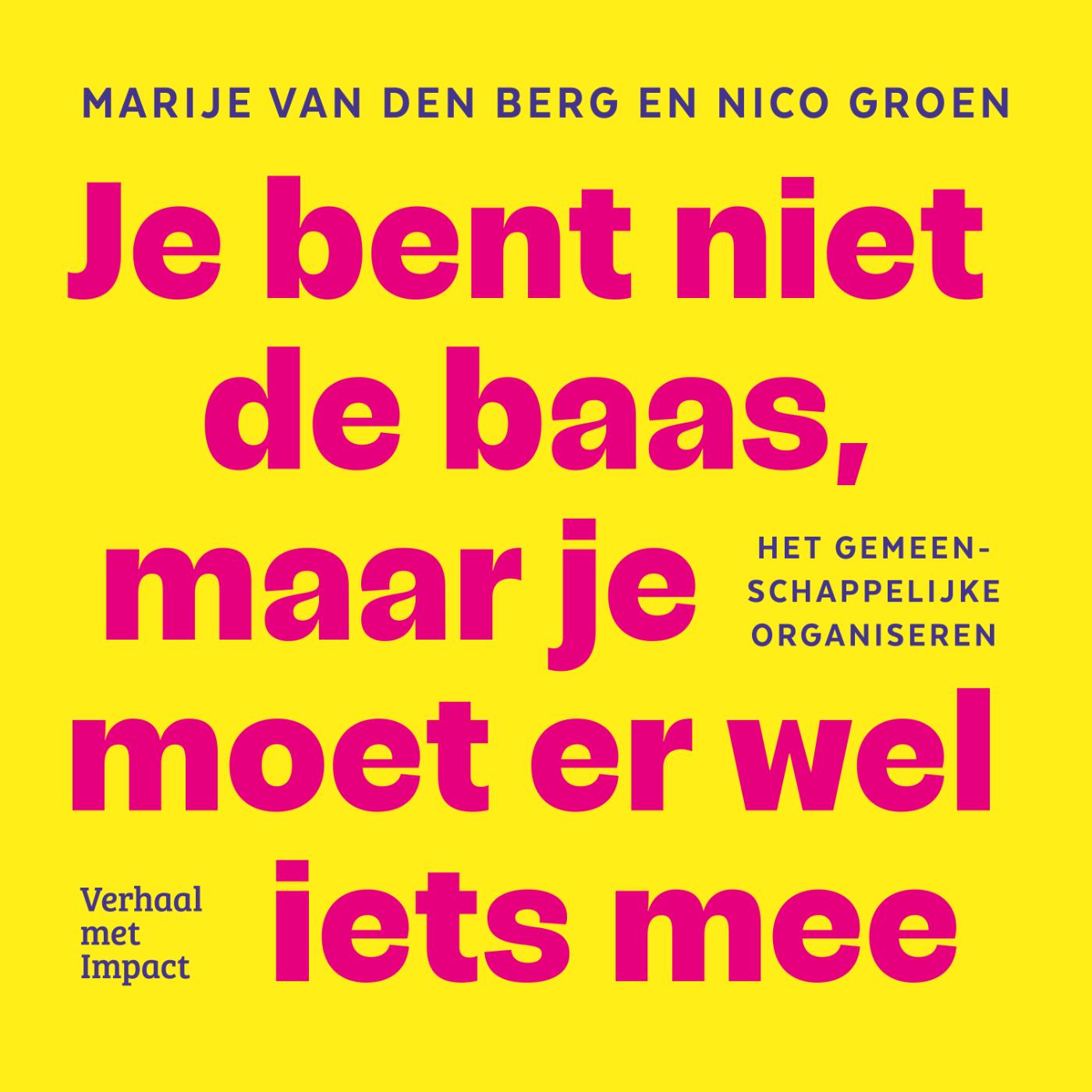 Omslag van Je bent niet de baas, maar je moet er wel iets mee