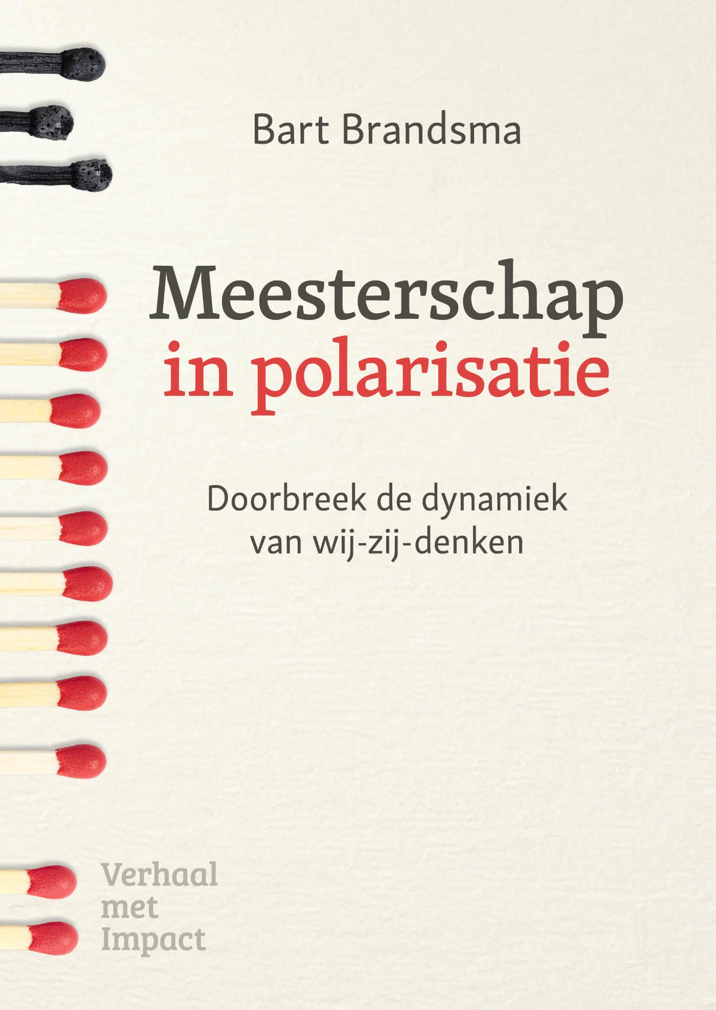 Omslag van Meesterschap in polarisatie