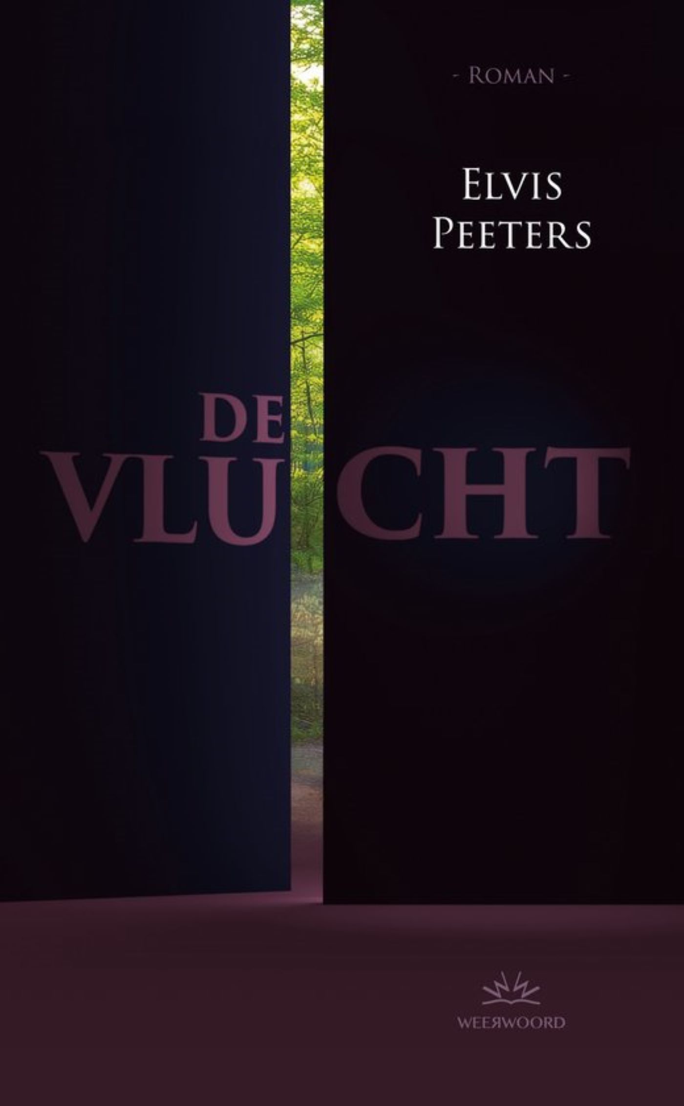 Omslag van De vlucht
