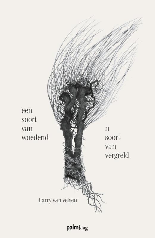 Omslag van een soort van woedend - n soort van vergreld
