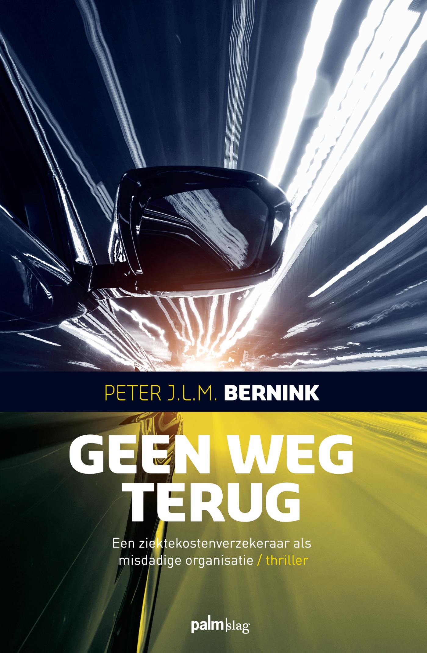 Omslag van Geen weg terug