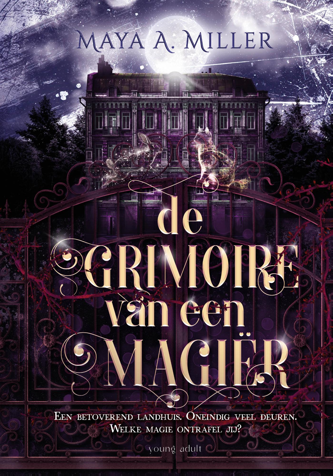 Omslag van De grimoire van een magiër