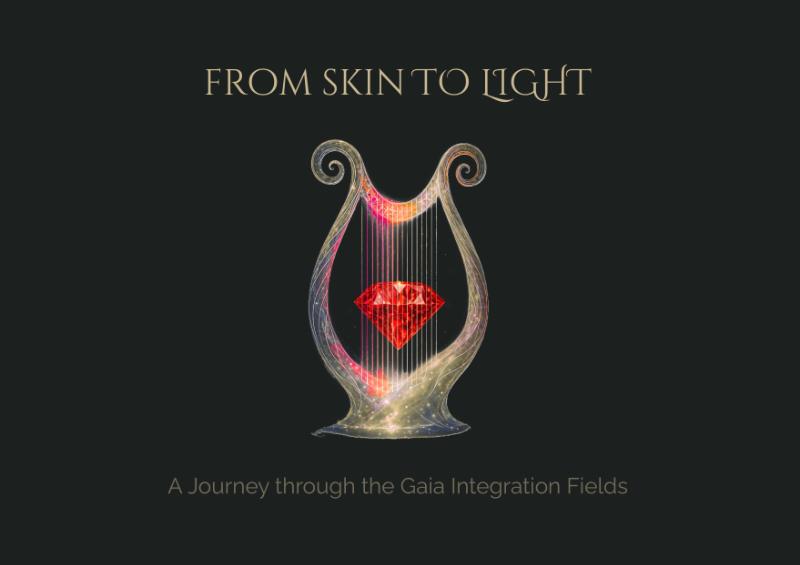 Omslag van From Skin to Light