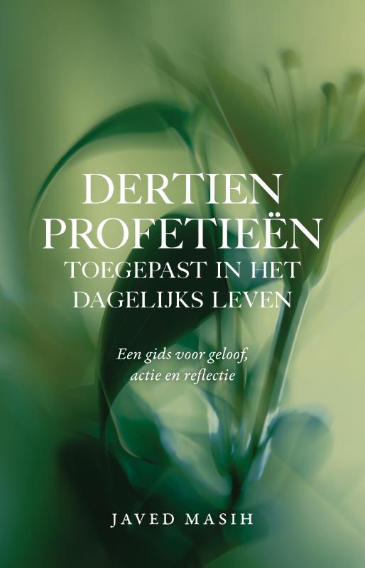 Omslag van Dertien profetieën toegepast in het dagelijks leven
