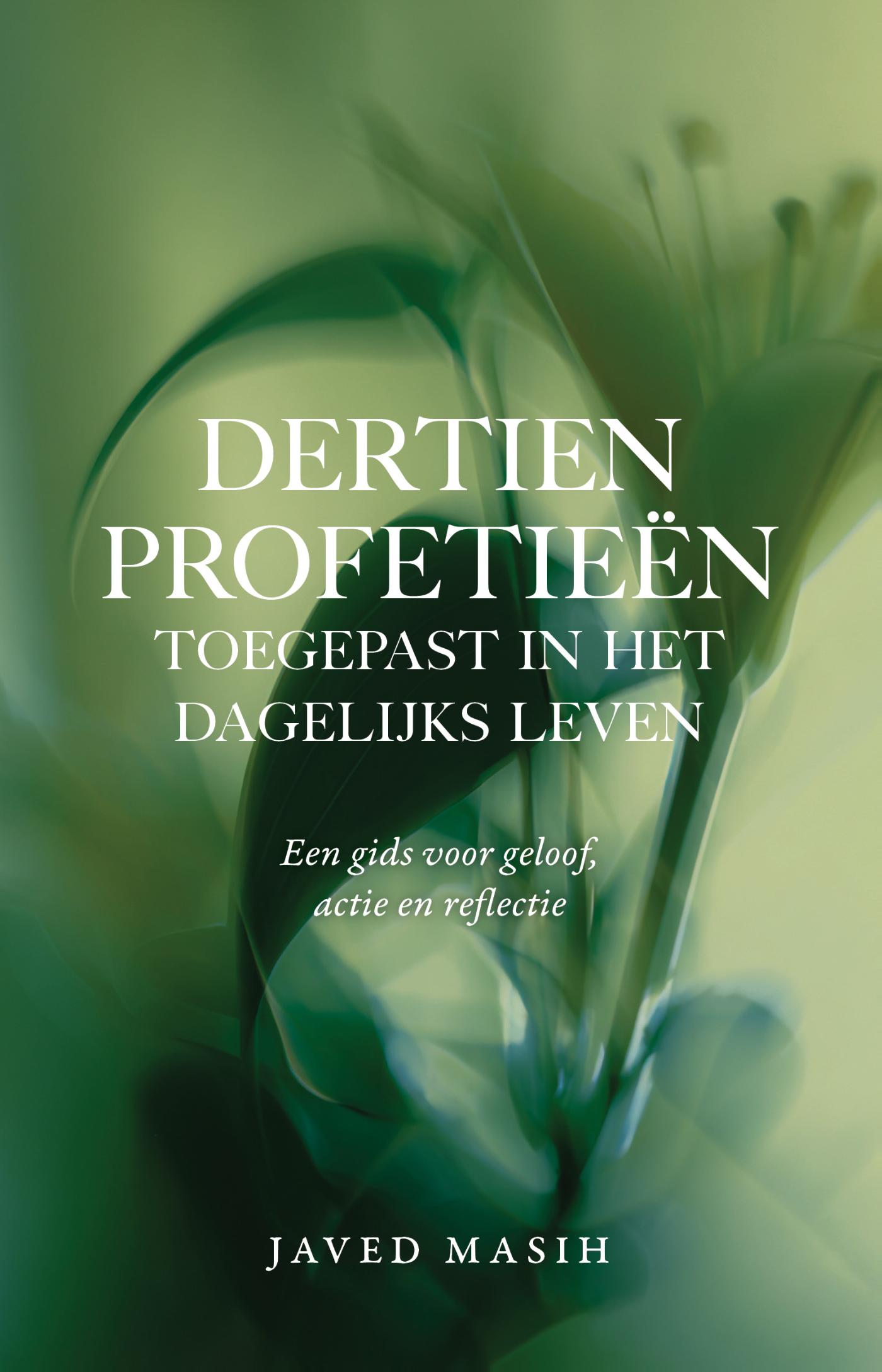 Omslag van Dertien profetieën toegepast in het dagelijks leven