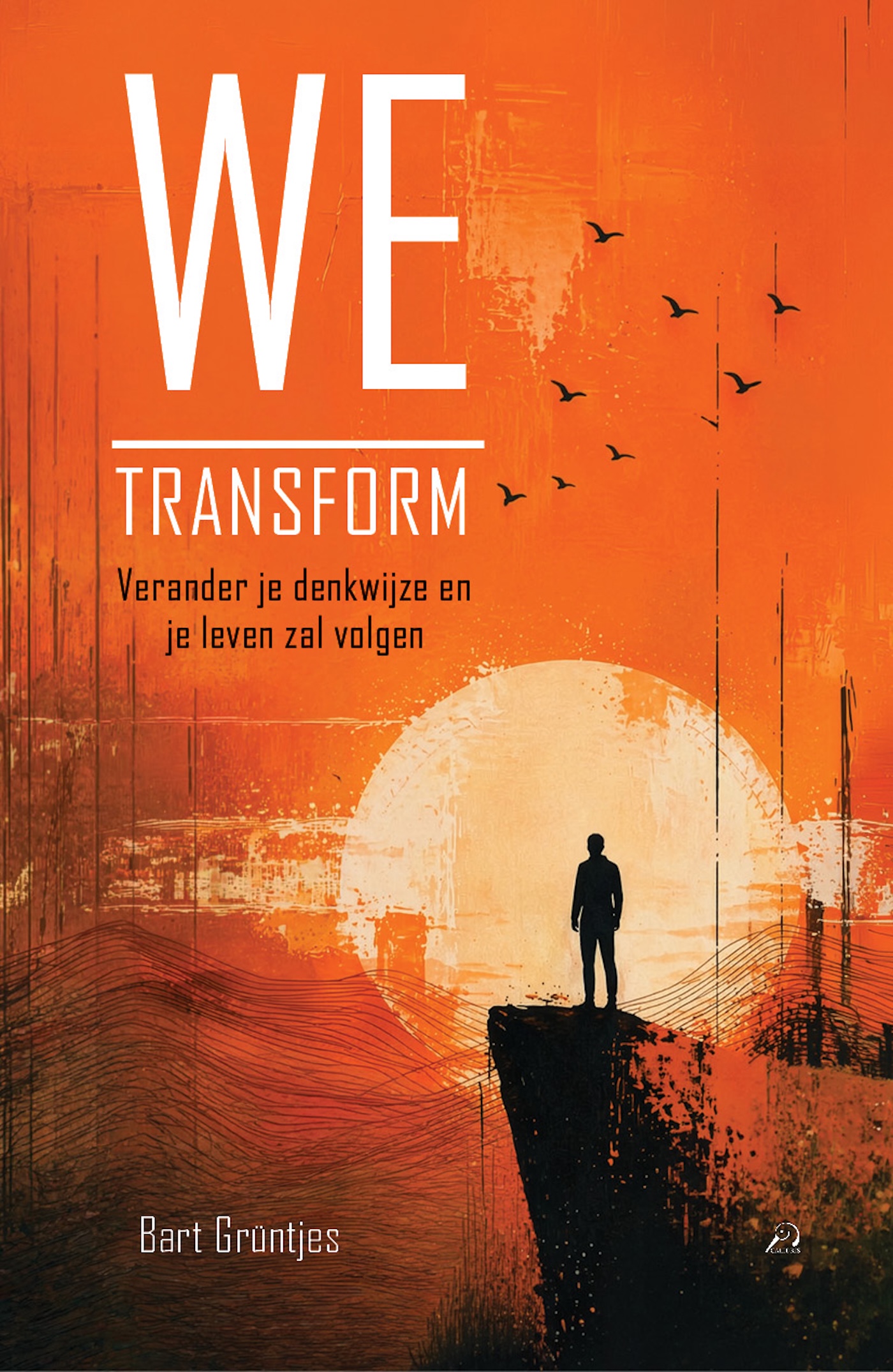 Omslag van We transform