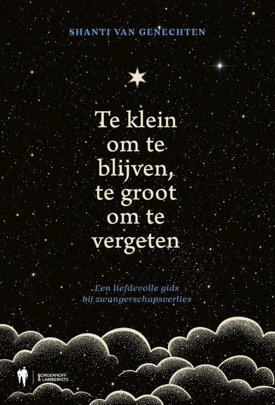 Omslag van Te klein om te blijven, te groot om te vergeten