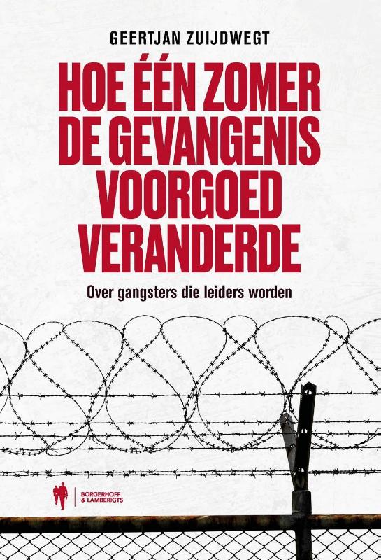 Omslag van Hoe één zomer de gevangenis voorgoed veranderde