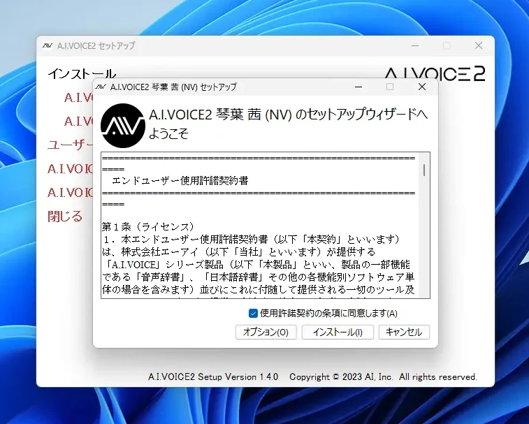 セットアップウィザードが起動