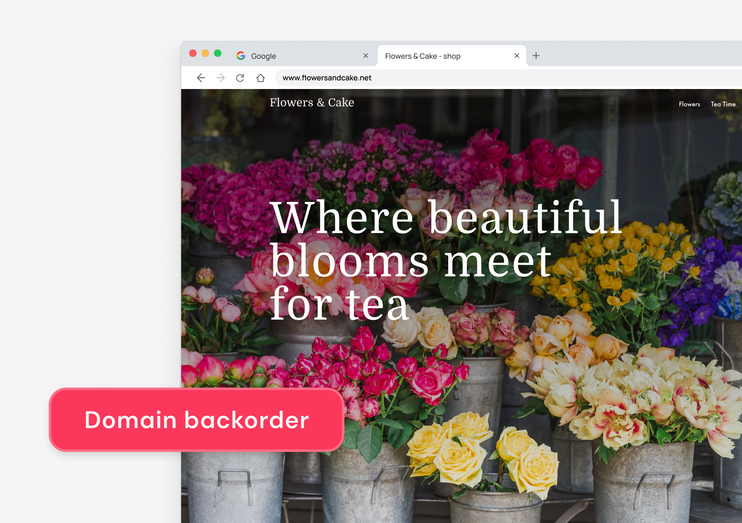 Backorder a popular domain name