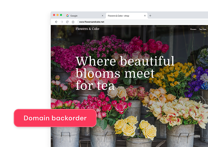 Place a Domain Backorder