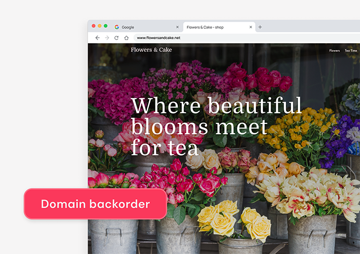What Is a Domain Backorder?