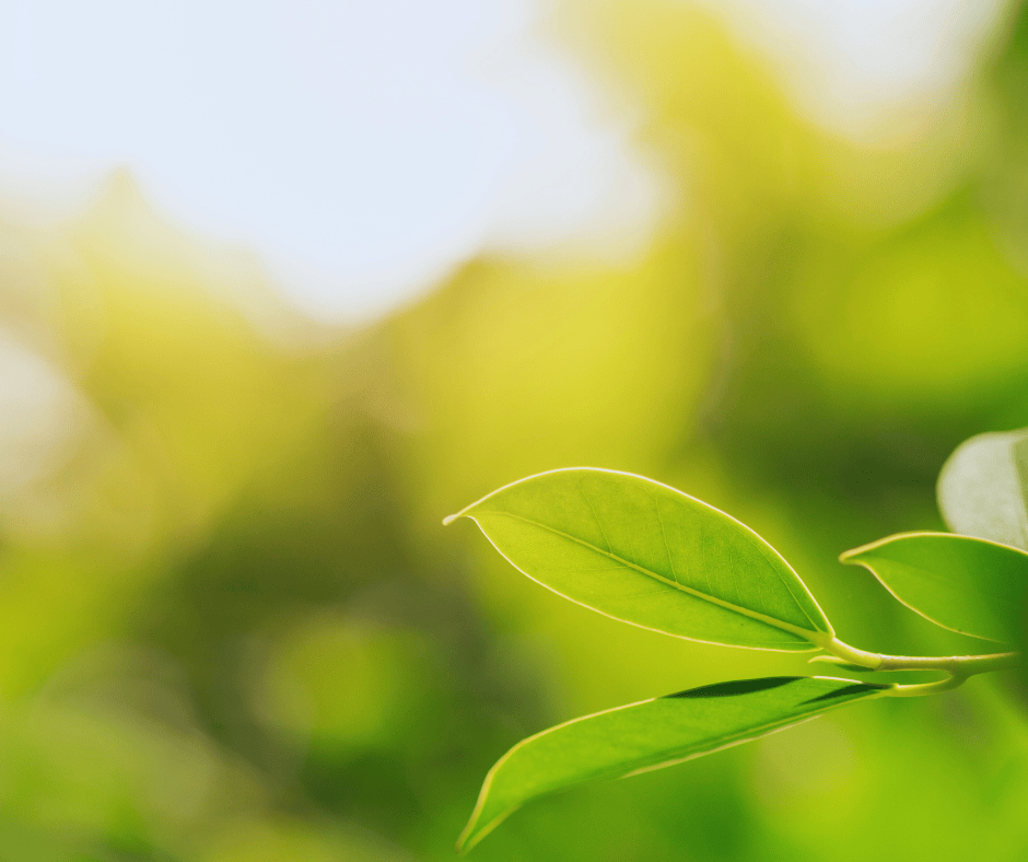 Air Conditioning Replacement One Hour Heating & Air Conditioning Air Conditioning Replacement