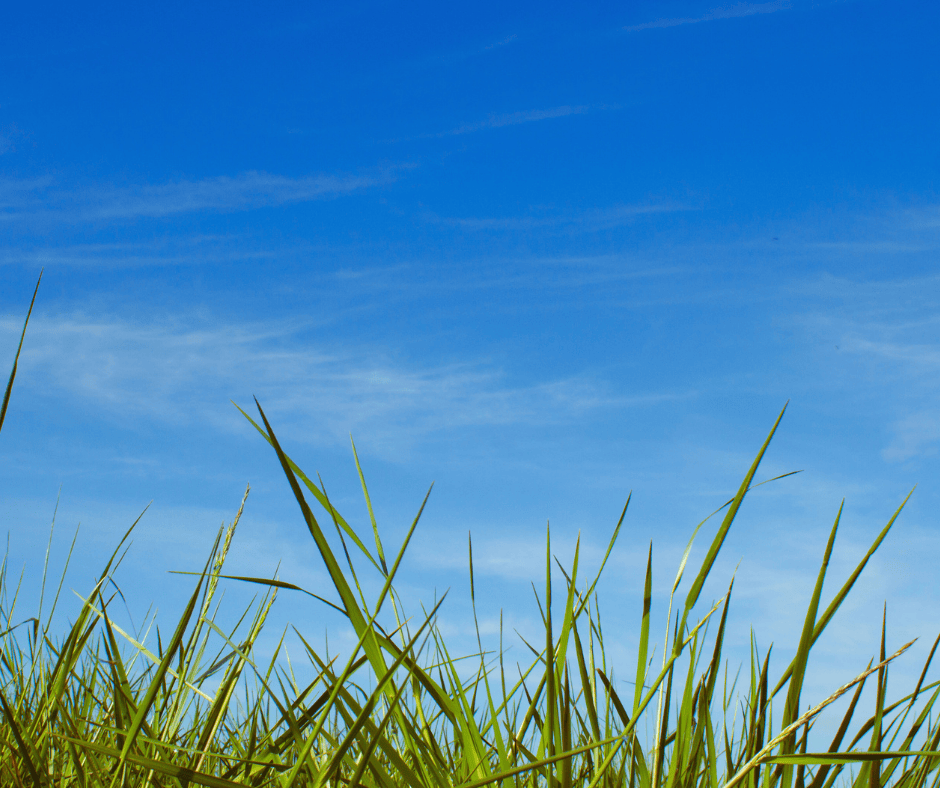 AC Replacement in Alpharetta