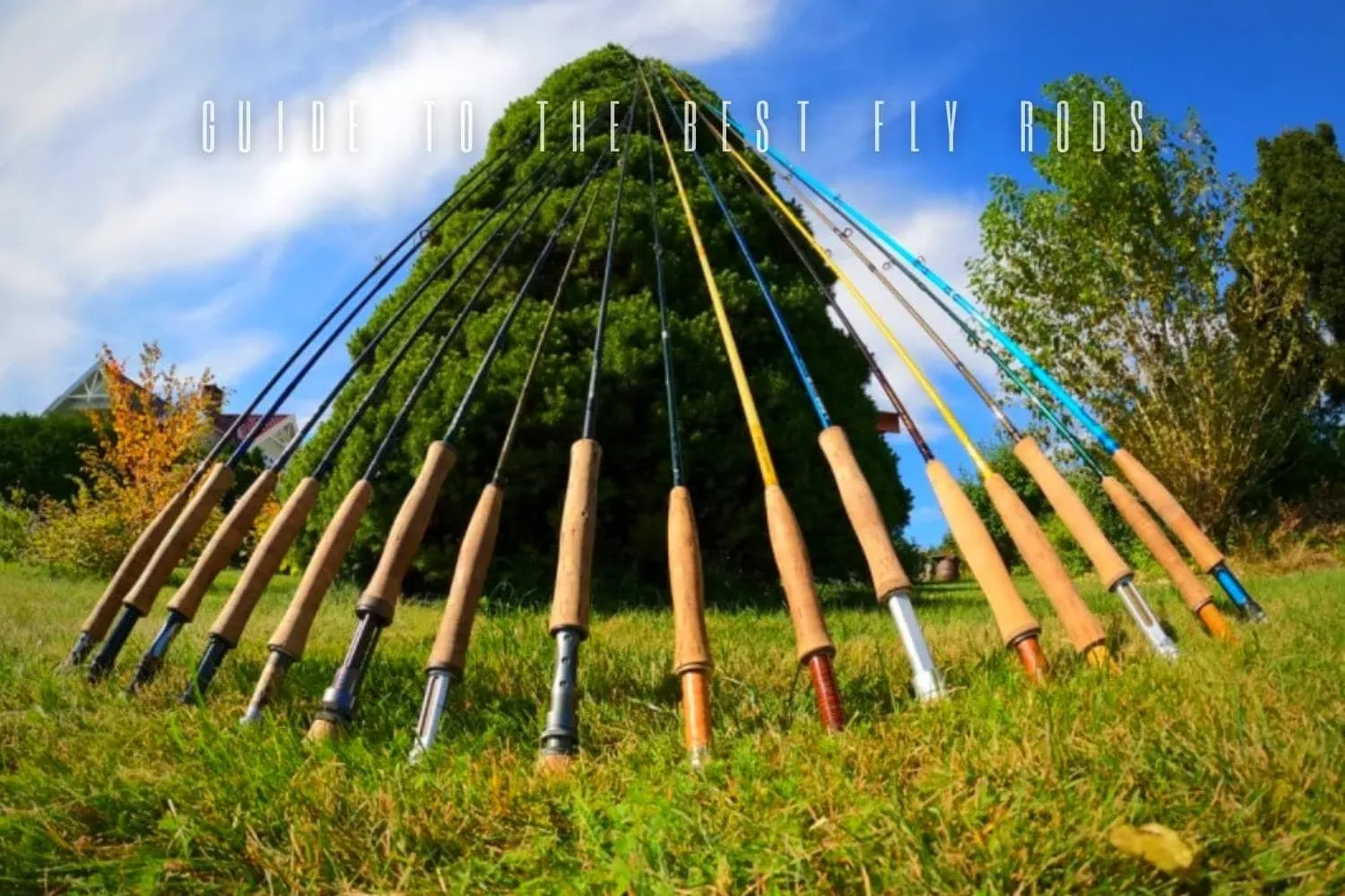 Best Saltwater Fly Rods 2026: Bonefish to Tarpon Picks | One Outdoors